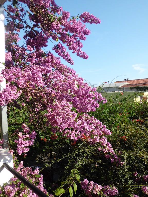 Apartments Viskovic ماكارسكا المظهر الخارجي الصورة